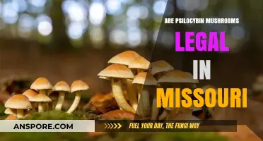 Are Psilocybin Mushrooms Legal in Missouri? Current Laws Explained
