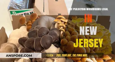 Are Psilocybin Mushrooms Legal in New Jersey? Current Laws Explained