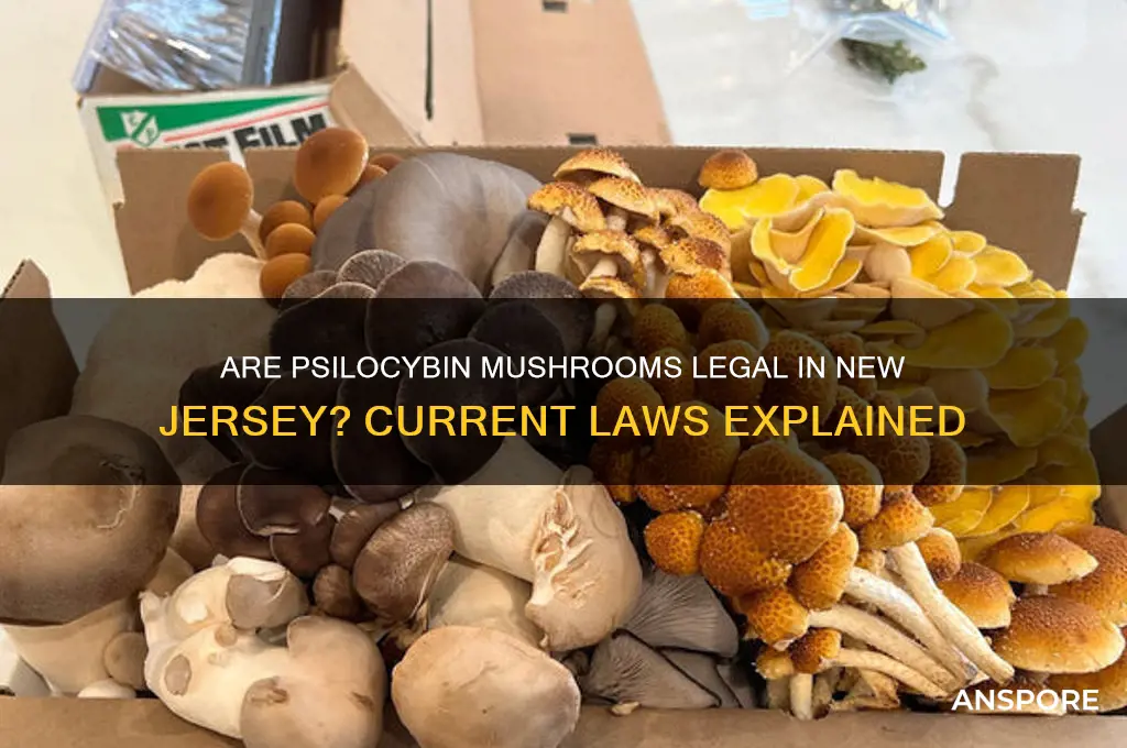 are psilocybin mushrooms legal in new jersey