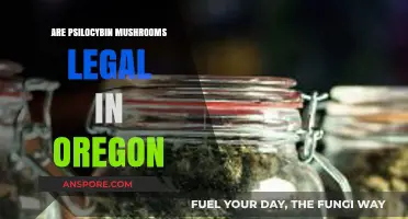 Oregon's Psilocybin Laws: Are Magic Mushrooms Legal in the State?