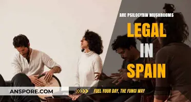 Psilocybin Mushrooms in Spain: Legal Status and Regulations Explained