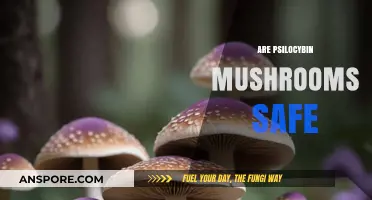 Psilocybin Mushrooms: Are They Safe for Consumption?