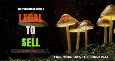 Are Psilocybin Spores Legal to Sell? Understanding the Laws