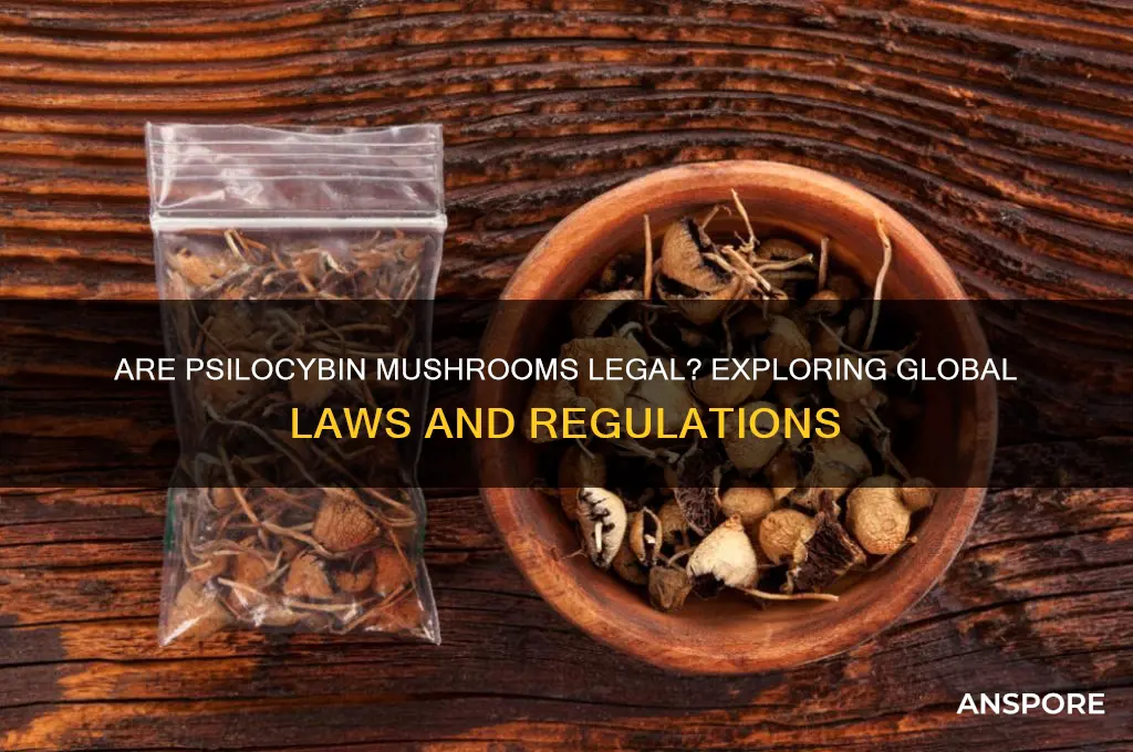 are psilosibin mushrooms legal