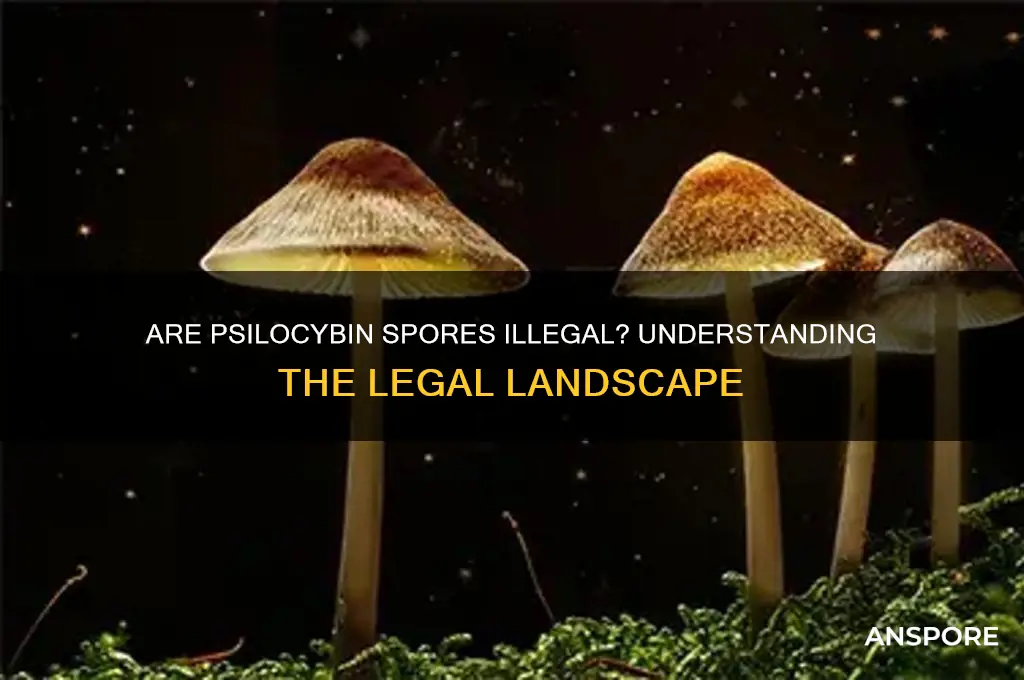 are psybaslyin spores illegal