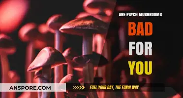 Are Psychedelic Mushrooms Harmful or Helpful? Exploring the Risks and Benefits
