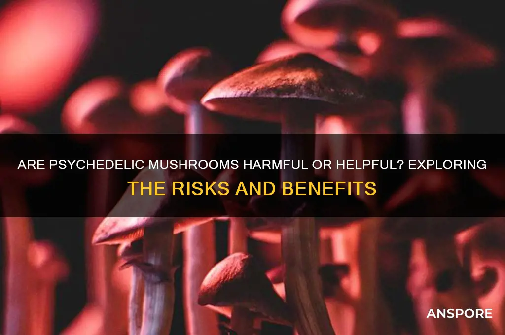 are psych mushrooms bad for you