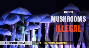Magic Mushroom Legality: Exploring the Grey Area