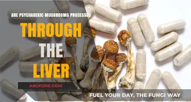 Magic Mushrooms: Liver Detox or Toxic?
