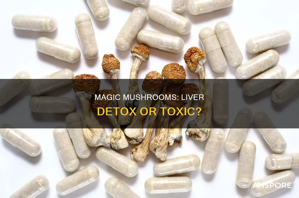 are psychadekic mushrooms processed through the liver
