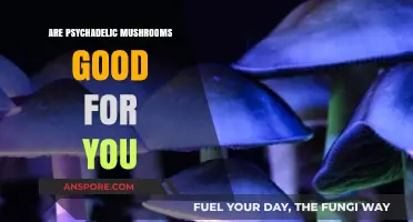 Exploring the Potential Health Benefits of Psychedelic Mushrooms