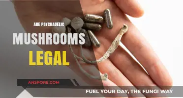 Are Psychedelic Mushrooms Legal? Exploring Global Laws and Trends