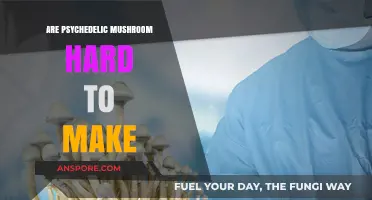 Are Psychedelic Mushrooms Hard to Cultivate? A Comprehensive Guide