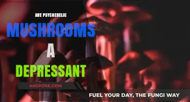 Psychedelic Mushrooms: Their Depressant Effects Explained