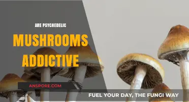 Psychedelic Mushrooms: Addictive or Not?