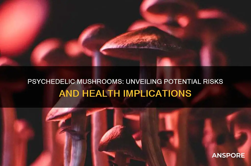 are psychedelic mushrooms bad for you