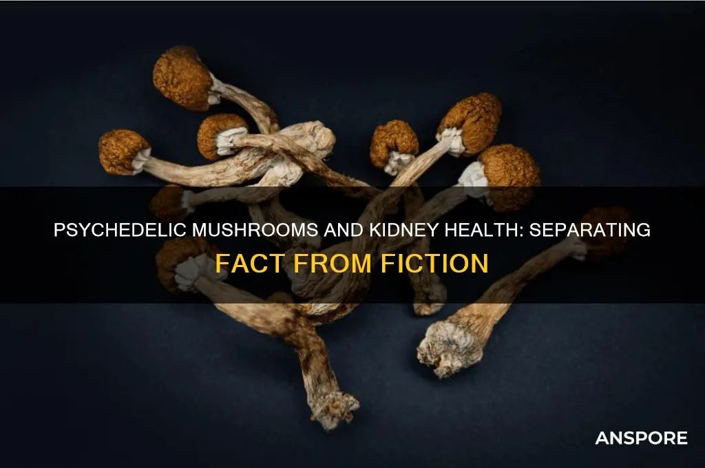 are psychedelic mushrooms bad for your kidneys