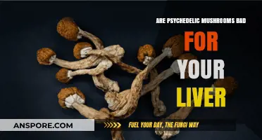 Psychedelic Mushrooms and Liver Health: Separating Fact from Fiction