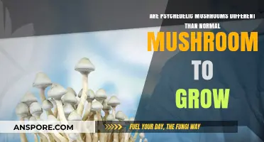 Psychedelic vs. Normal Mushrooms: Cultivation Differences Explained