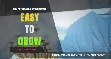 Can You Easily Cultivate Psychedelic Mushrooms at Home?