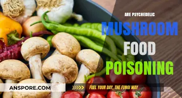 Psychedelic Mushrooms: Food Poisoning Risk or Mind-Altering Experience?