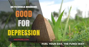 Psychedelic Mushrooms: A Potential Breakthrough for Treating Depression?