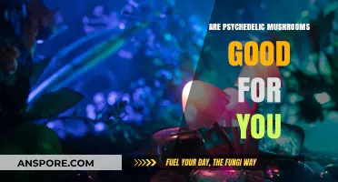 Exploring the Potential Health Benefits of Psychedelic Mushrooms