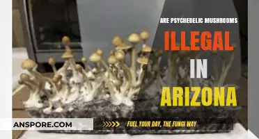 Arizona's Stance on Psychedelic Mushrooms: Legal or Not?