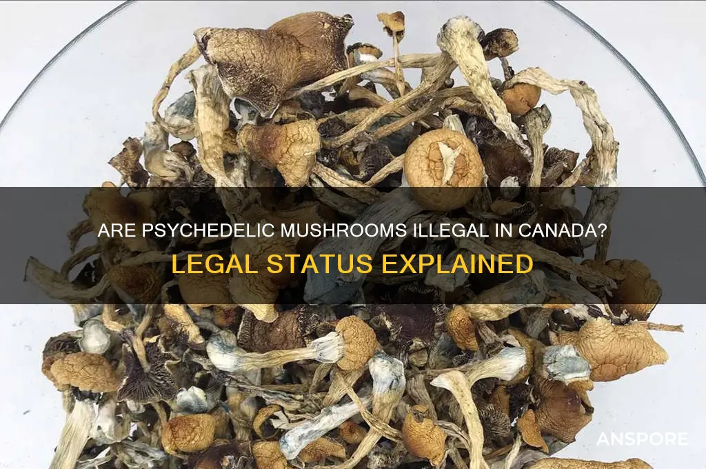 are psychedelic mushrooms illegal in canada