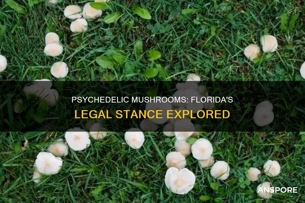 are psychedelic mushrooms illegal in florida