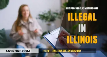 Psychedelic Mushroom Laws in Illinois: What's the Verdict?