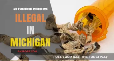 Psychedelic Mushrooms: Michigan's Legal Stance Explored