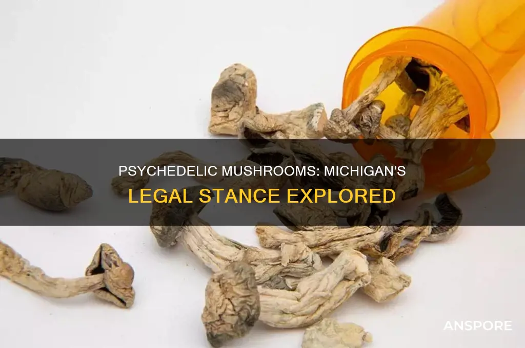 are psychedelic mushrooms illegal in michigan