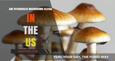 Psychedelic Mushrooms: Legal Status in the US