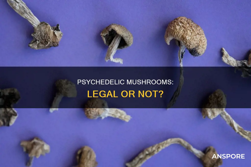 are psychedelic mushrooms illegal