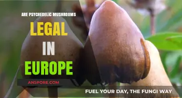 Exploring the Legal Status of Psychedelic Mushrooms in Europe
