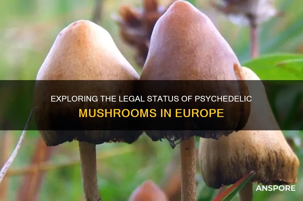 are psychedelic mushrooms legal in europe