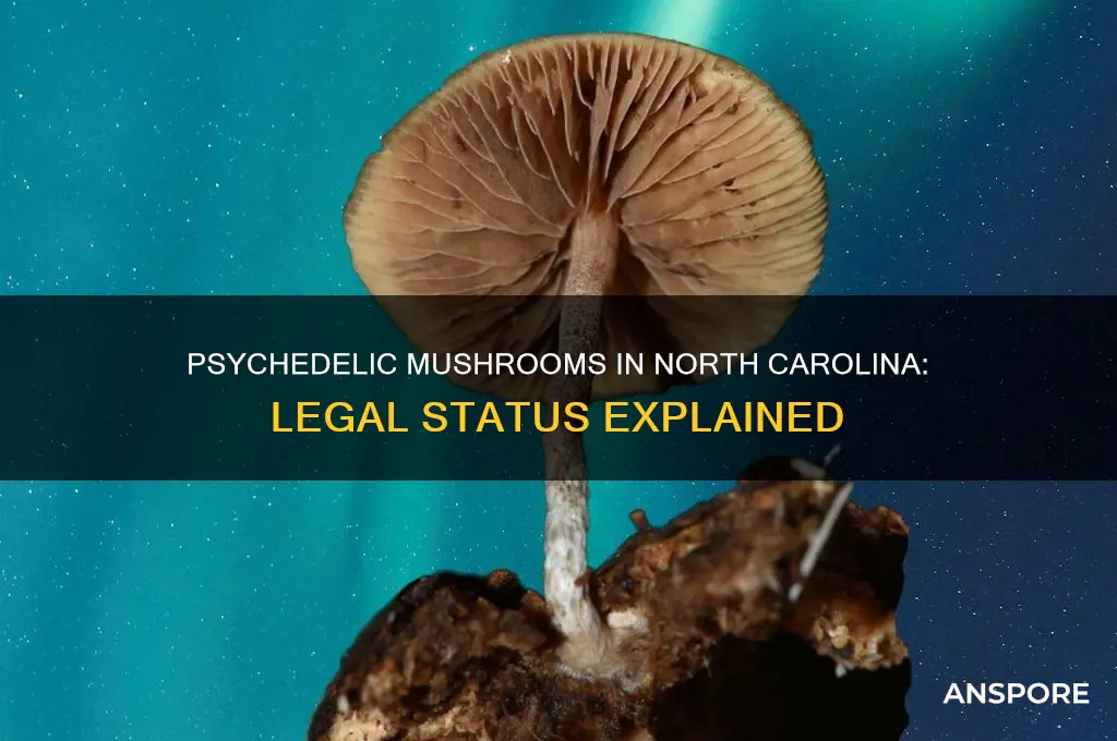 are psychedelic mushrooms legal in north carolina