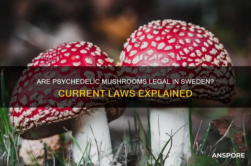 are psychedelic mushrooms legal in sweden