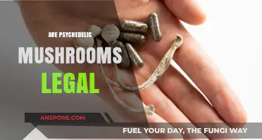 Are Psychedelic Mushrooms Legal? Exploring Global Laws and Regulations