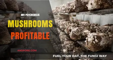 Psychedelic Mushrooms: A Lucrative Business?