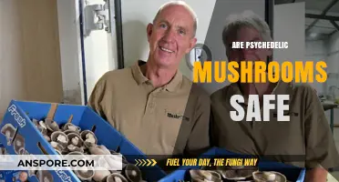 Psychedelic Mushrooms: Safe Trip or Risky Business?