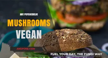 Psychedelic Mushrooms: Are They Vegan?