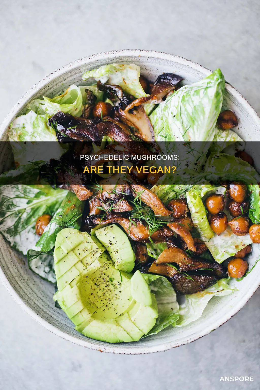 are psychedelic mushrooms vegan