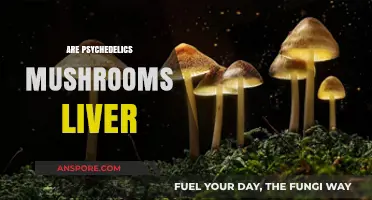 Magic Mushrooms: A Liver's Friend or Foe?