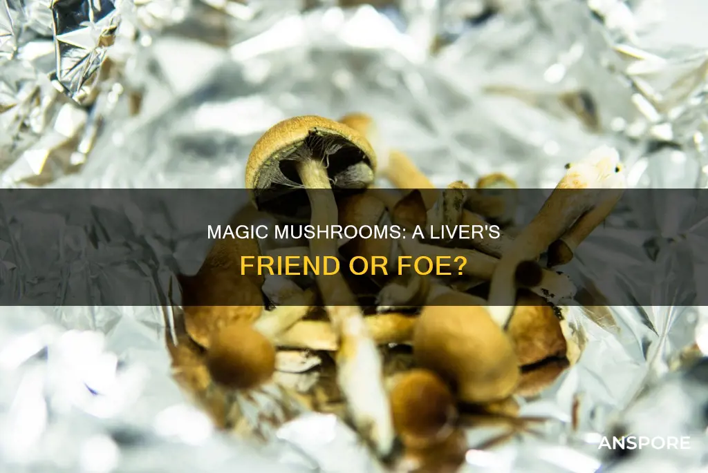 are psychedelics mushrooms liver