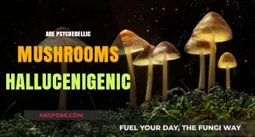 Psychedelic Mushrooms: Hallucinations or Reality?