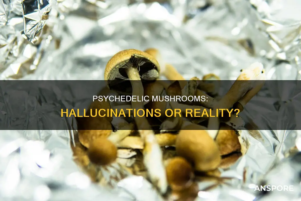 are psychedellic mushrooms hallucenigenic