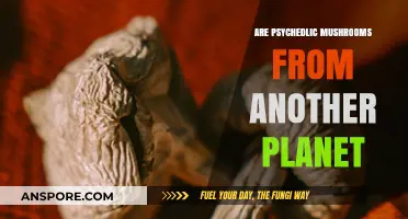 Mushrooms: Earthly or Alien?