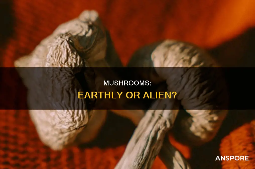 are psychedlic mushrooms from another planet